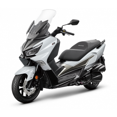 JOYSYM 300